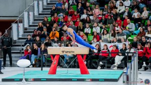 grand prix della ginnastica 0263 sfe04822 copia simone ferraro ph